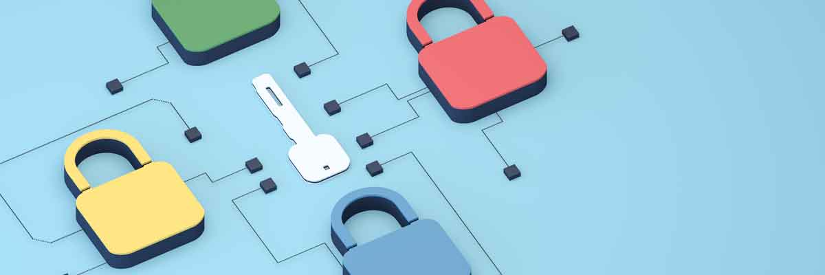 Canadian Key Management Graphic of a key surrounded by closed locks.